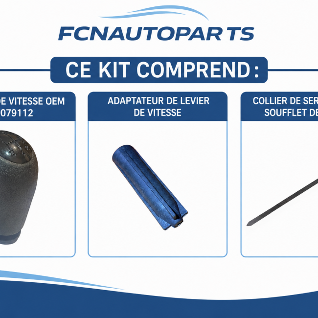 Pommeau de vitesse 5 rapports Renault Clio III Mégane II Scénic II Kangoo Modus Dacia Logan Sandero — Réf. OEM 8200079112